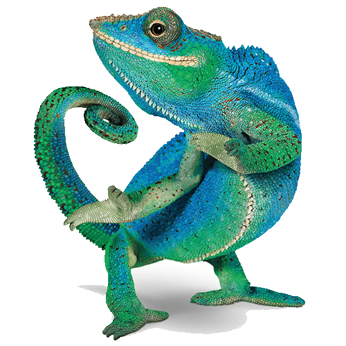 TELUS Device Care