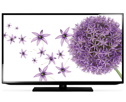 Telus TV with flowers on screen
