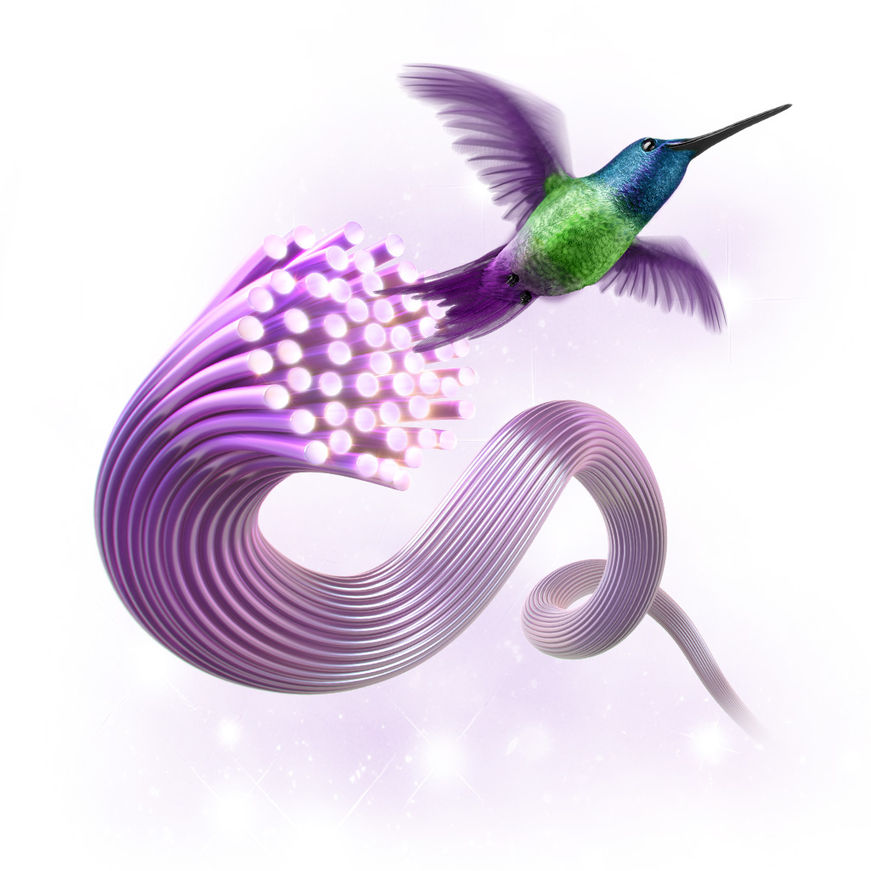 telus home internet plans calgary